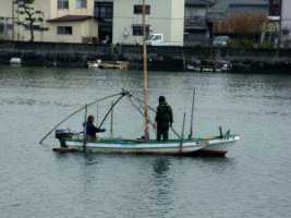 しろうお漁「四つ手網漁」